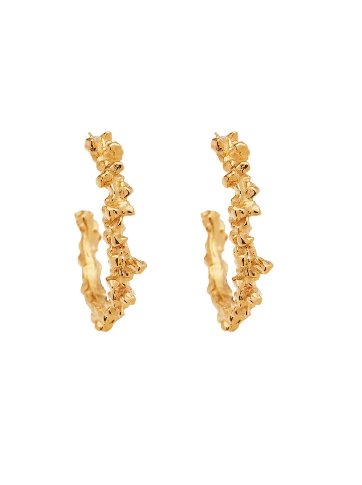 Cheap Bella Earrings In Women Jewellery